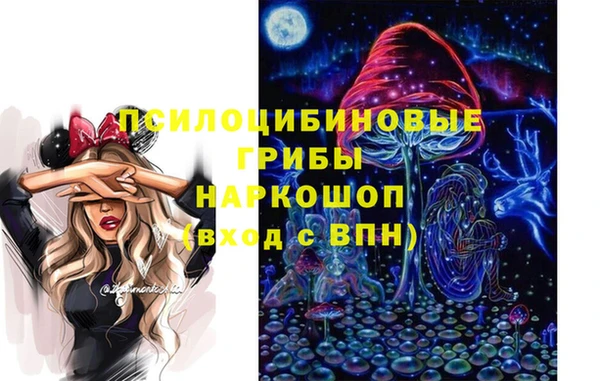 гашик Куйбышев