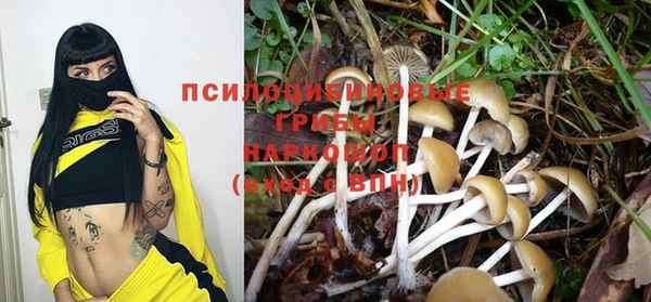 гашик Куйбышев