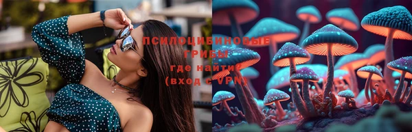 Альфа ПВП Новосибирск