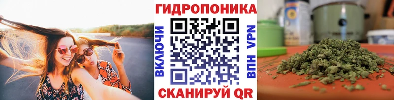 МАРИХУАНА план  где можно купить наркотик  Полярный 